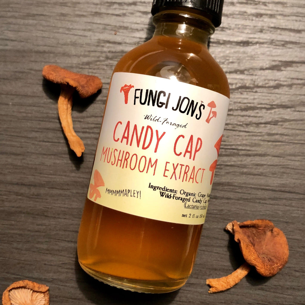 Candy Cap Mushroom Extract